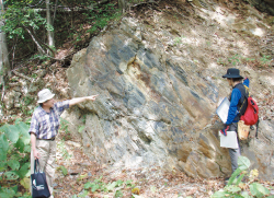 大量絶滅時の地層（ペルム紀/三畳紀境界層）、岩手県で確認