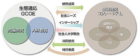 生態適応GCOEと環境機関コンソーシアム