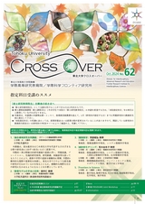 クロスオーバー62